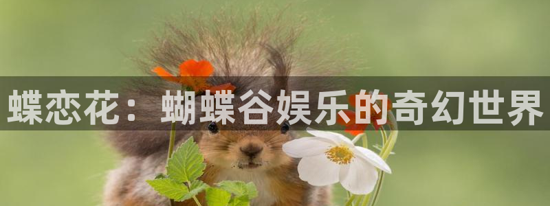 先锋娱乐平台