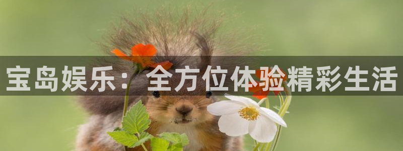 先锋娱乐平台