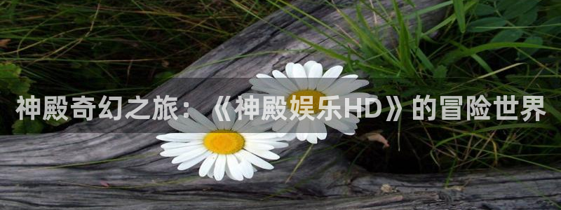 先锋娱乐公司